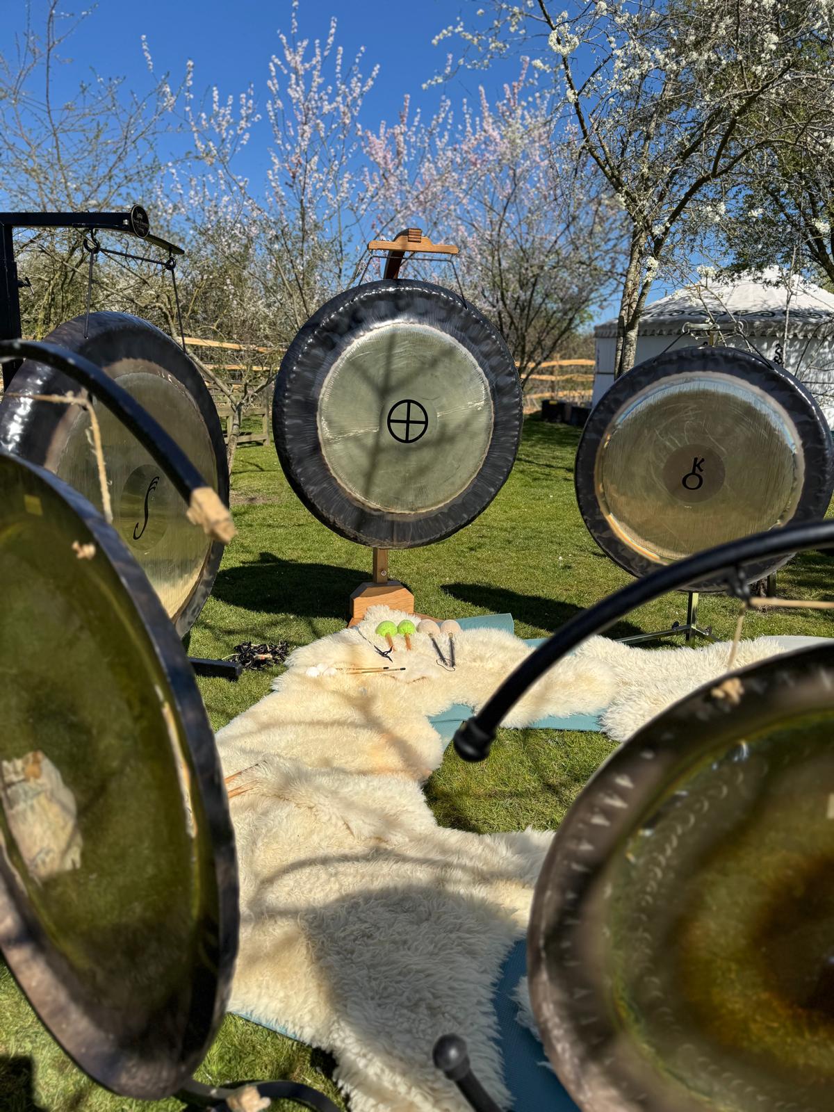 Yoga & Planetary Gong Immersion in the Orchard