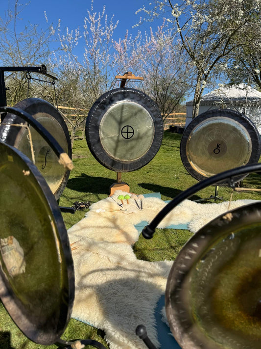 Yoga & Planetary Gong Immersion in the Orchard