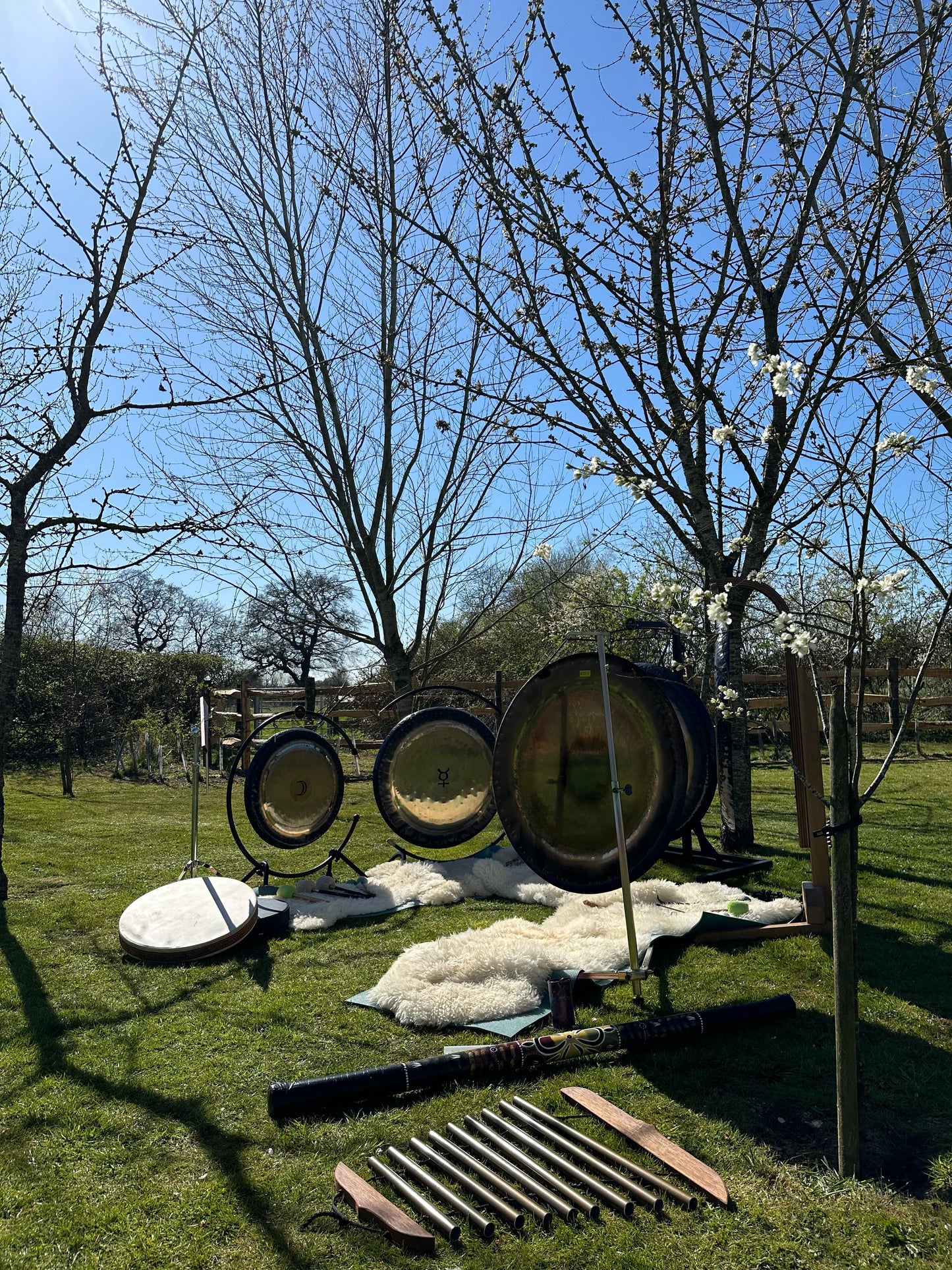 Yoga & Planetary Gong Immersion in the Orchard